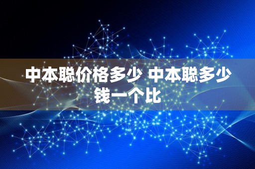 中本聪价格多少 中本聪多少钱一个比