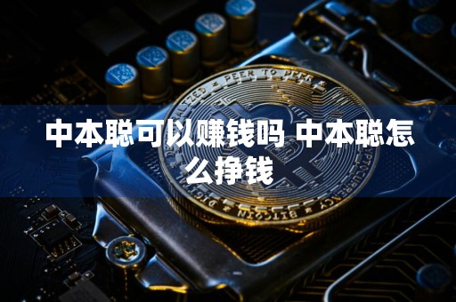 中本聪可以赚钱吗 中本聪怎么挣钱