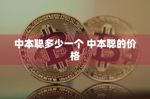 中本聪多少一个 中本聪的价格