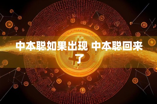 中本聪如果出现 中本聪回来了