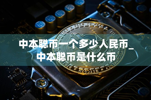 中本聪币一个多少人民币_中本聪币是什么币