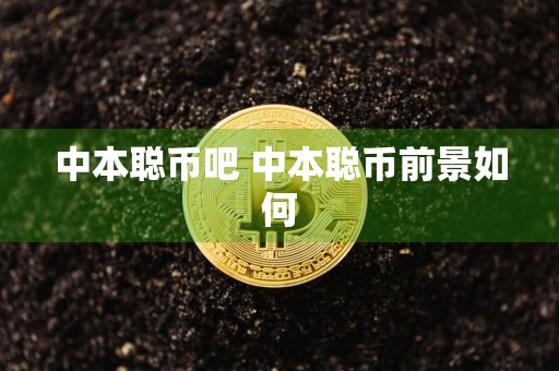 中本聪币吧 中本聪币前景如何