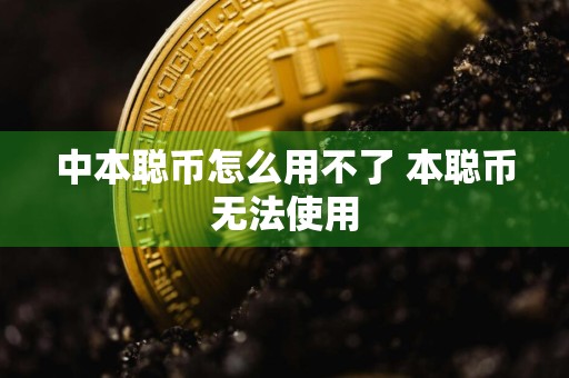 中本聪币怎么用不了 本聪币无法使用