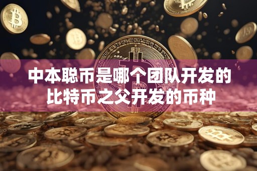 中本聪币是哪个团队开发的 比特币之父开发的币种