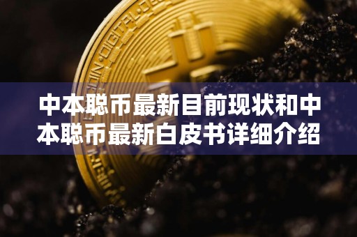 中本聪币最新目前现状和中本聪币最新***详细介绍