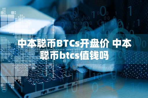 中本聪币BTCs开盘价 中本聪币btcs值钱吗