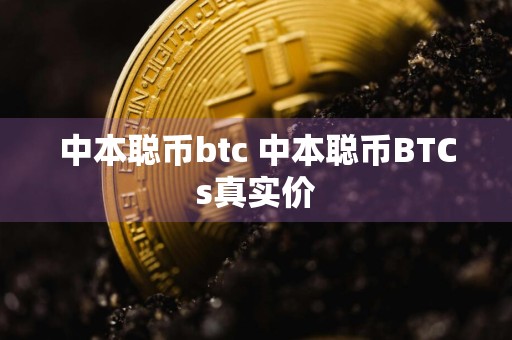 中本聪币btc 中本聪币BTCs真实价