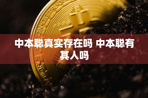 中本聪真实存在吗 中本聪有其人吗