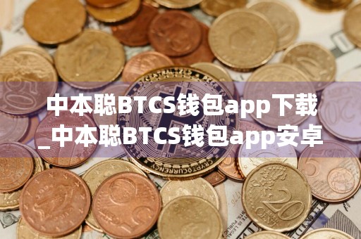 中本聪BTCS钱包app下载_中本聪BTCS钱包app安卓版下载