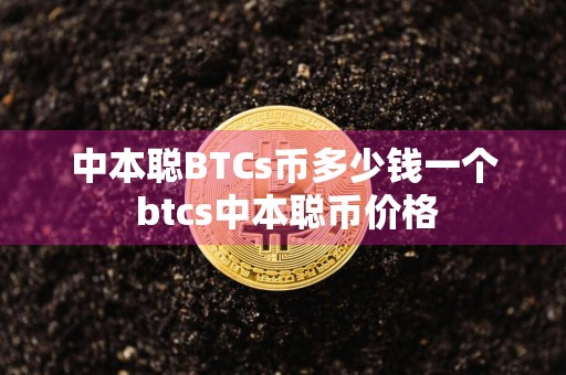 中本聪BTCs币多少钱一个 btcs中本聪币价格