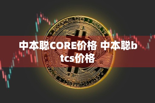 中本聪CORE价格 中本聪btcs价格