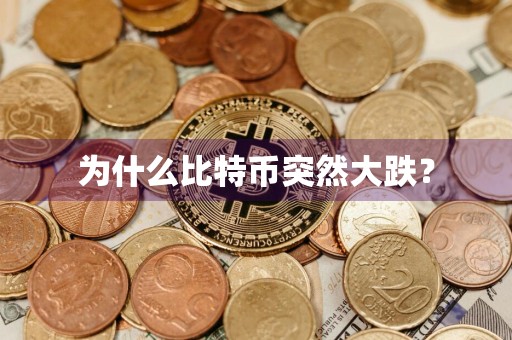 为什么比特币突然大跌？