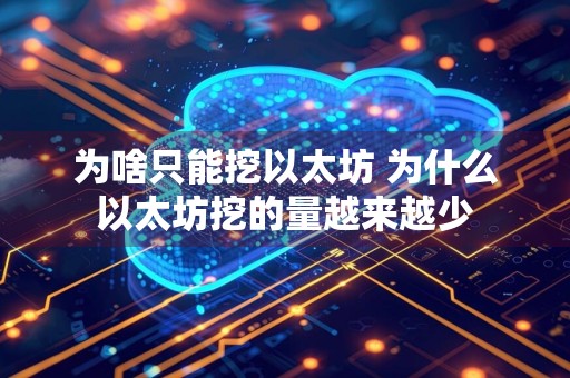 为啥只能挖以太坊 为什么以太坊挖的量越来越少