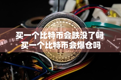 买一个比特币会跌没了吗 买一个比特币会爆仓吗
