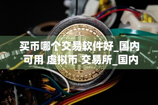 买币哪个交易软件好_国内 可用 虚拟币 交易所_国内什么软件可以买币交易
