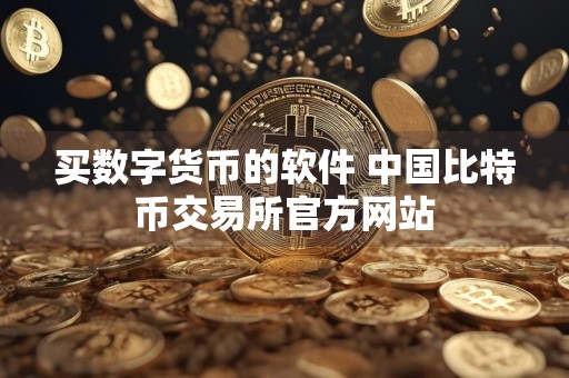 买数字货币的软件 中国比特币交易所官方网站