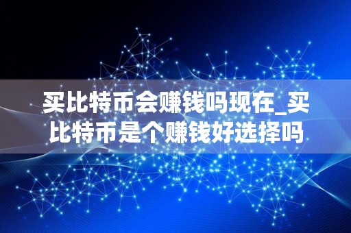 买比特币会赚钱吗现在_买比特币是个赚钱好选择吗