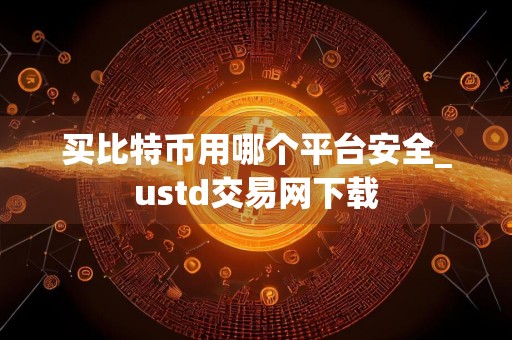 买比特币用哪个平台安全_ustd交易网下载