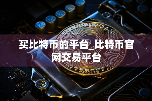 买比特币的平台_比特币官网交易平台