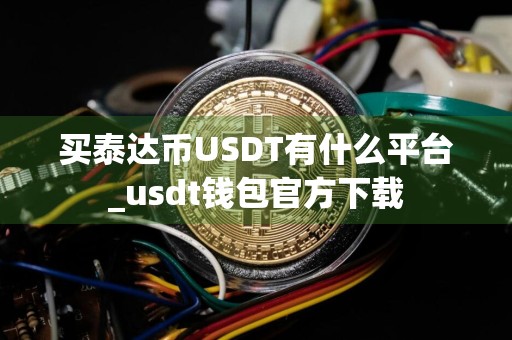买泰达币USDT有什么平台_usdt钱包官方下载