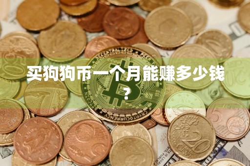 买狗狗币一个月能赚多少钱？