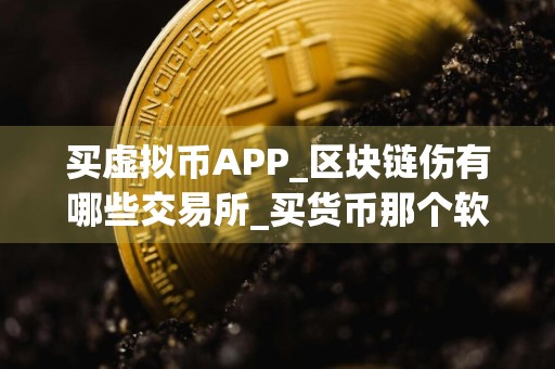 买虚拟币APP_区块链伤有哪些交易所_买货币那个软件