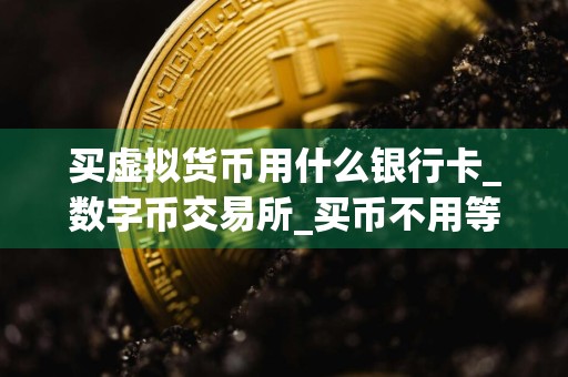 买虚拟货币用什么银行卡_数字币交易所_买币不用等24小时提币的平台