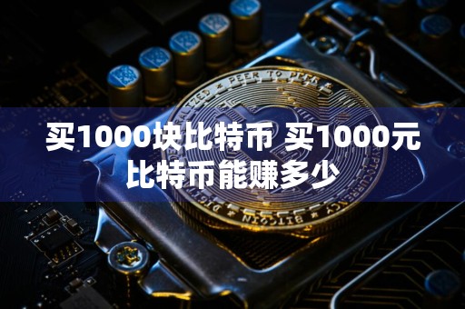 买1000块比特币 买1000元比特币能赚多少