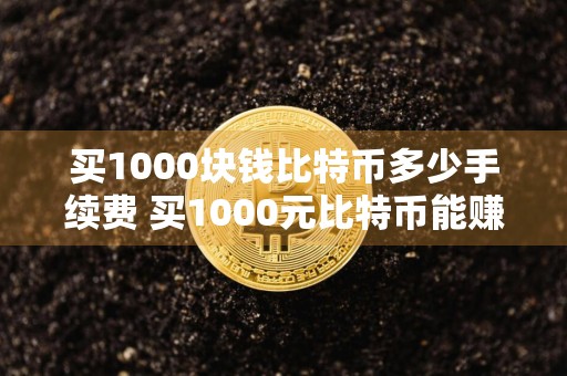 买1000块钱比特币多少手续费 买1000元比特币能赚多少