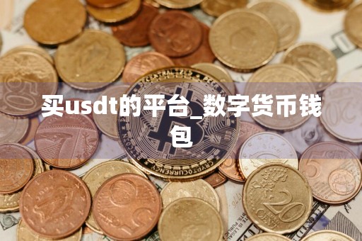 买usdt的平台_数字货币钱包