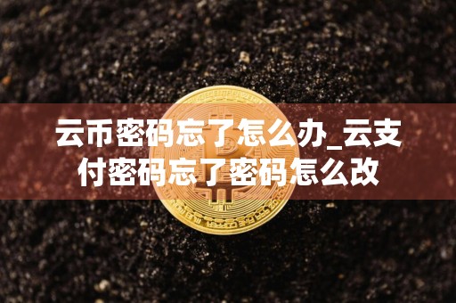 云币密码忘了怎么办_云支付密码忘了密码怎么改