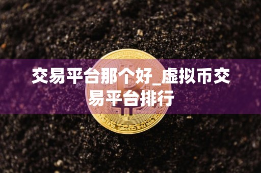 交易平台那个好_虚拟币交易平台排行