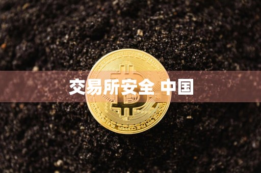 交易所安全 中国