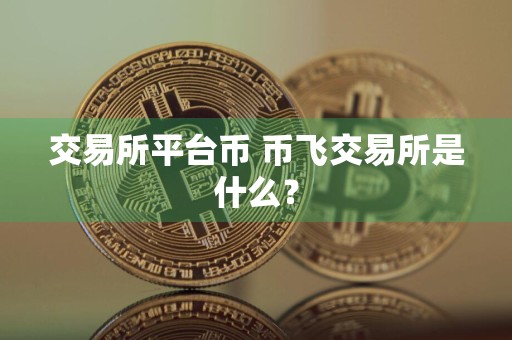 交易所平台币 币飞交易所是什么？