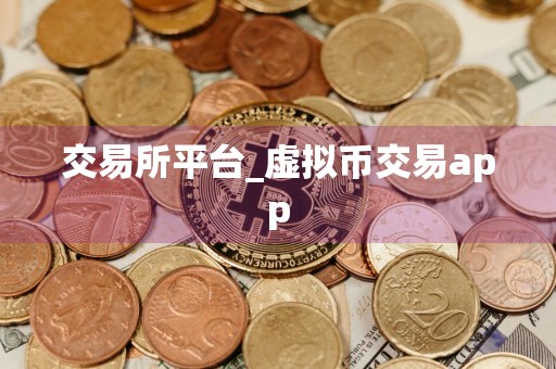交易所平台_虚拟币交易app