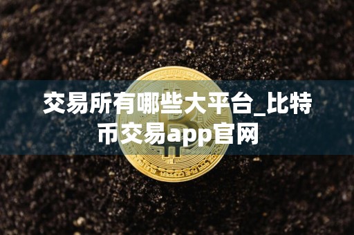 交易所有哪些大平台_比特币交易app官网