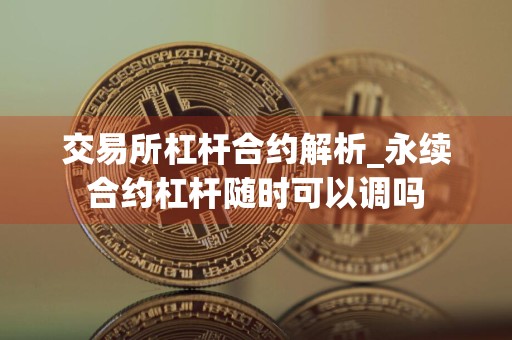 交易所杠杆合约解析_永续合约杠杆随时可以调吗