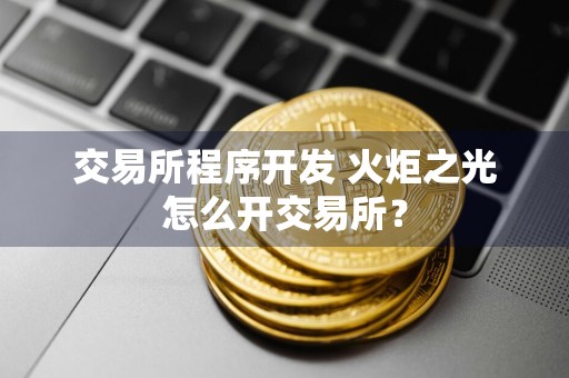 交易所程序开发 火炬之光怎么开交易所？