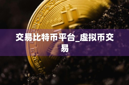 交易比特币平台_虚拟币交易