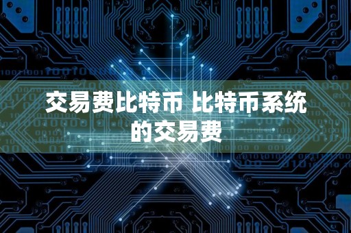 交易费比特币 比特币系统的交易费