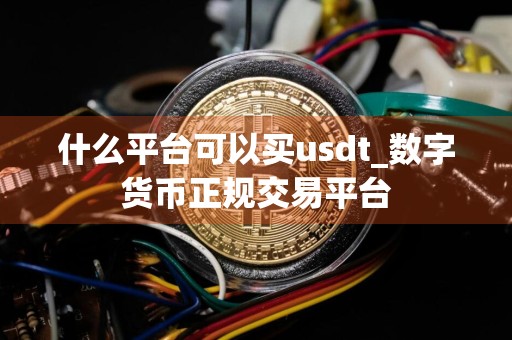 什么平台可以买usdt_数字货币正规交易平台