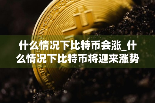 什么情况下比特币会涨_什么情况下比特币将迎来涨势