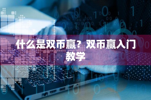 什么是双币赢？双币赢入门教学