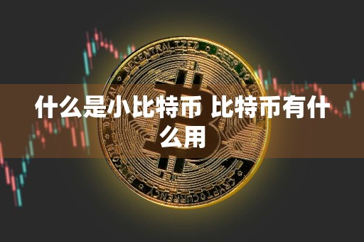 什么是小比特币 比特币有什么用