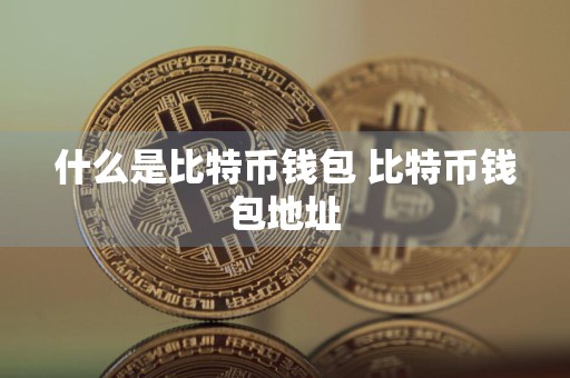 什么是比特币钱包 比特币钱包地址