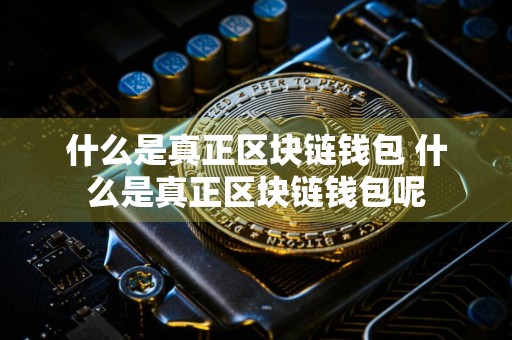 什么是真正区块链钱包 什么是真正区块链钱包呢