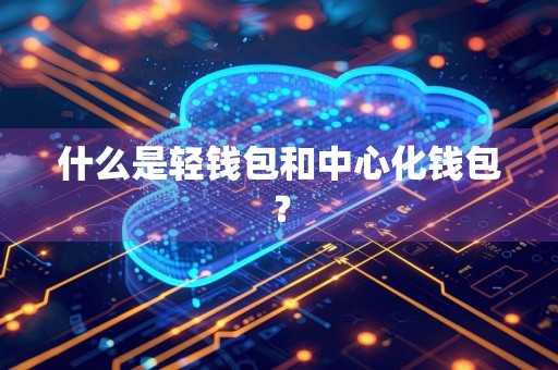 什么是轻钱包和中心化钱包？