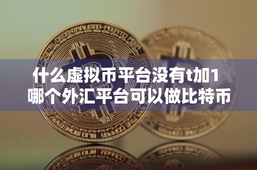 什么虚拟币平台没有t加1 哪个外汇平台可以做比特币
