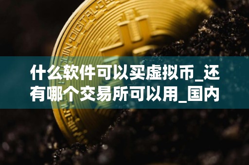 什么软件可以买虚拟币_还有哪个交易所可以用_国内买币软件