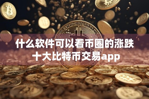 什么软件可以看币圈的涨跌 十大比特币交易app